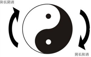 陰平陽秘
