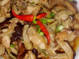 鮮香菇燒雞關節 鮮香菇燒雞關節