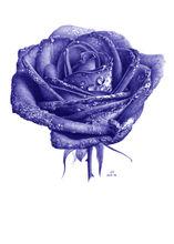 國內原子筆畫選