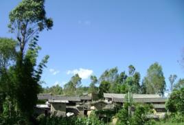 倉屯村[易門縣十街鄉十街村民委員會下轄村]