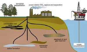 碳捕集與封存 運輸