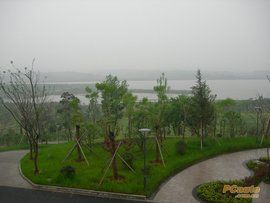 紫蓬山國家森林公園 紫蓬山國家森林公園