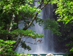 日奈久溫泉 日奈久溫泉