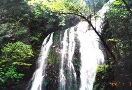 淄博源泉自然風景區 淄博源泉自然風景區