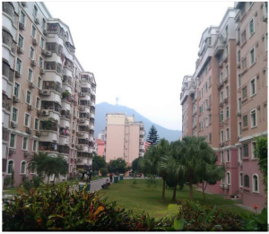 鵬興花園 鵬興花園