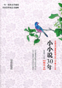 小小說30年精華本 小小說30年精華本