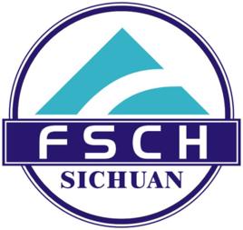 四川菲斯克人力資源服務有限公司