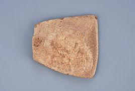 新石器時代鱉甲刀 新石器時代鱉甲刀