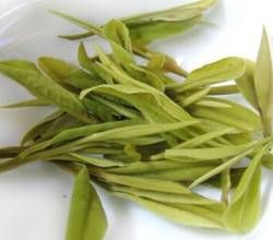 黃石溪毛峰 黃石溪毛峰