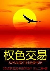 從外科醫生到縣委書記:權色交易 從外科醫生到縣委書記:權色交易