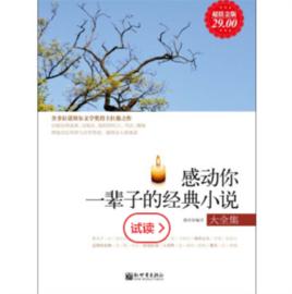 感動你一輩子的經典小說大全集 感動你一輩子的經典小說大全集