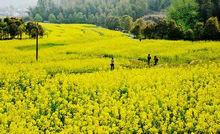 獅子峰[江西省南昌市梅嶺太平鎮獅子峰]