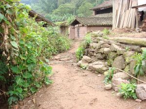 曼毛自然村 曼毛自然村