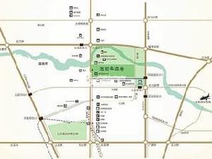 溫哥華森林 溫哥華森林