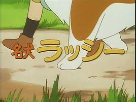 名犬萊西 名犬萊西