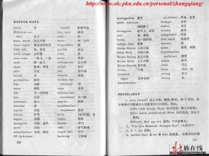 玻里尼西亞語族