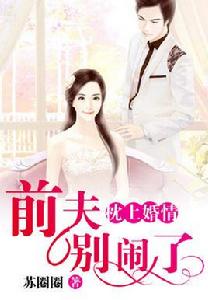 枕上婚情之前夫別鬧了 枕上婚情之前夫別鬧了