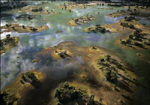 奧卡萬戈三角洲