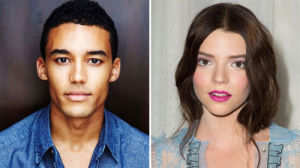 巴里[2016年VikramGandhi執導電影]