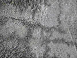 自愈混凝土 自愈混凝土