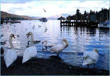 英國湖區國家公園 英國湖區國家公園