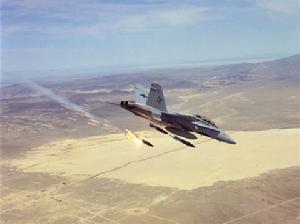 大黃蜂[戰鬥機]