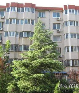 清河園小區 清河園小區