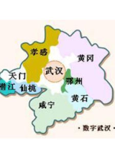 武漢城市圈 武漢城市圈