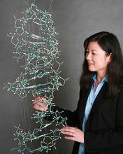 周慧君[iDNA網創始人]