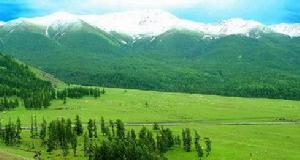 加什哈拉蓋牧場