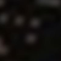 HR 1499 RASS 彩色圖