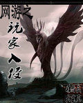 網遊之玩家入侵 網遊之玩家入侵