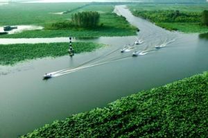 微山湖濕地省級地質公園 微山湖濕地省級地質公園