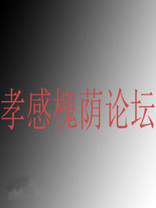 孝感槐蔭論壇 孝感槐蔭論壇