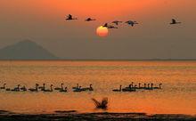 楓林村風景秀麗