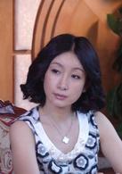 我和丈母娘的十年戰爭[2012年歸亞蕾主演電視劇]