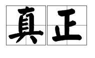 真正 真正