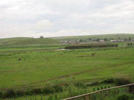 駝羔之歌[歌頌母親的歌曲]