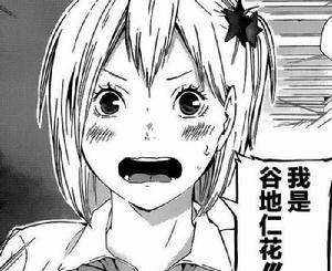 谷地仁花 谷地仁花