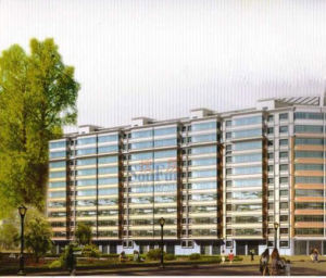 東崗鎮國小 東崗鎮國小