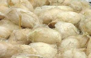 石泉蠶絲 石泉蠶絲