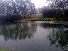 龍潭鎮龍潭河風光