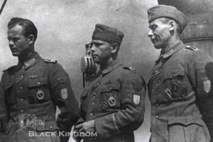 佩帶霍爾姆戰役盾章的警察部隊，盾章在警察臂章的下面