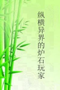 縱橫異界的爐石玩家 縱橫異界的爐石玩家