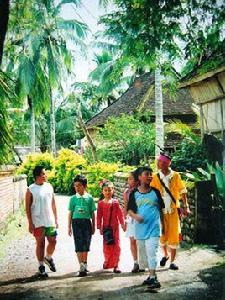 我們的眼睛 我們的眼睛