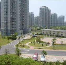 明城新村玫瑰園 明城新村玫瑰園