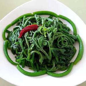 清炒南瓜嫩葉 清炒南瓜嫩葉