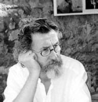 拉菲爾·納瓦羅