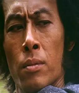 《蝶變》[1979年徐克執導電影]