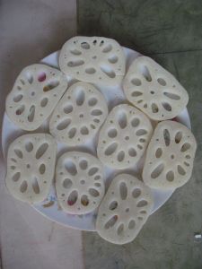 茌平縣翠綠藕業農民專業合作社